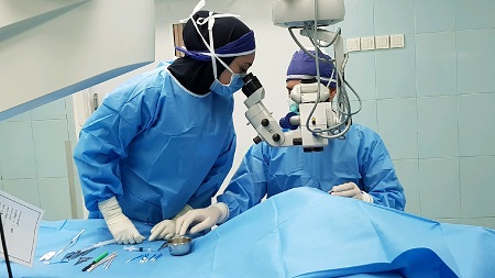 Corneal surgeries 